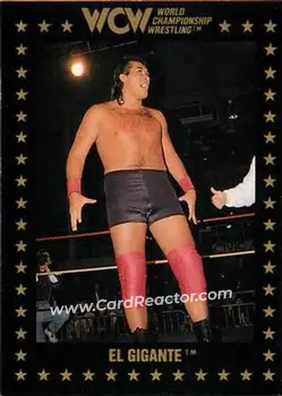 1991 Championship Marketing WCW #58 - El Gigante