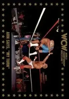 1991 Championship Marketing WCW #59 - Card #59