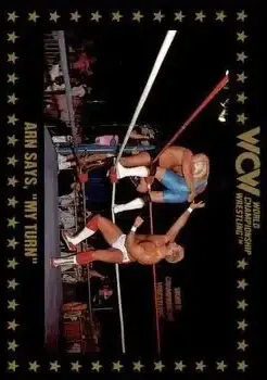 1991 Championship Marketing WCW #59 - Card #59 - Front