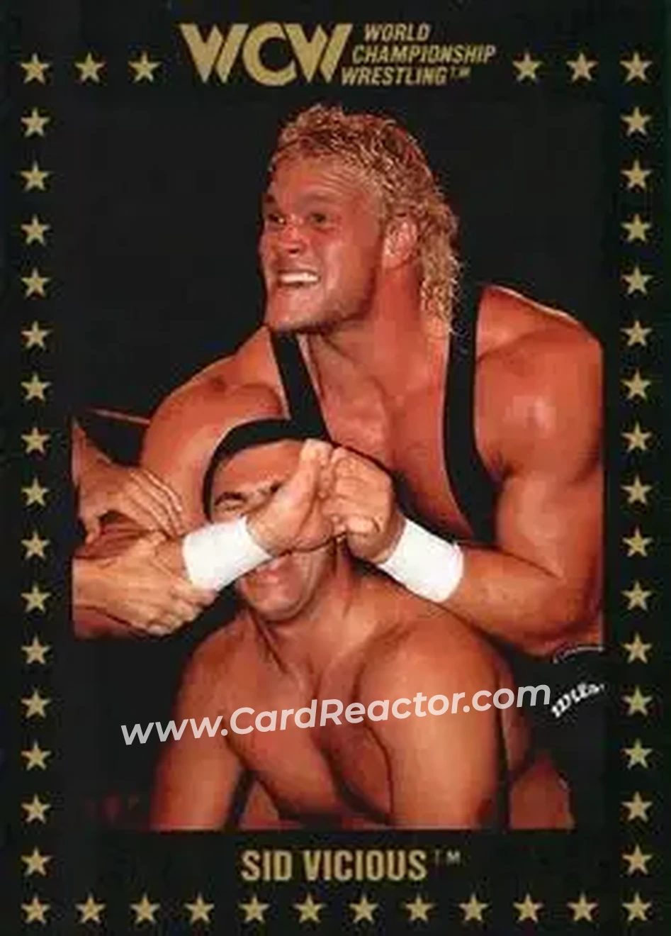 1991 Championship Marketing WCW #60 - Sid Vicious