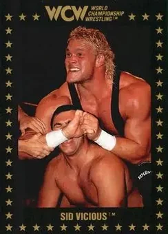 1991 Championship Marketing WCW #60 - Sid Vicious
