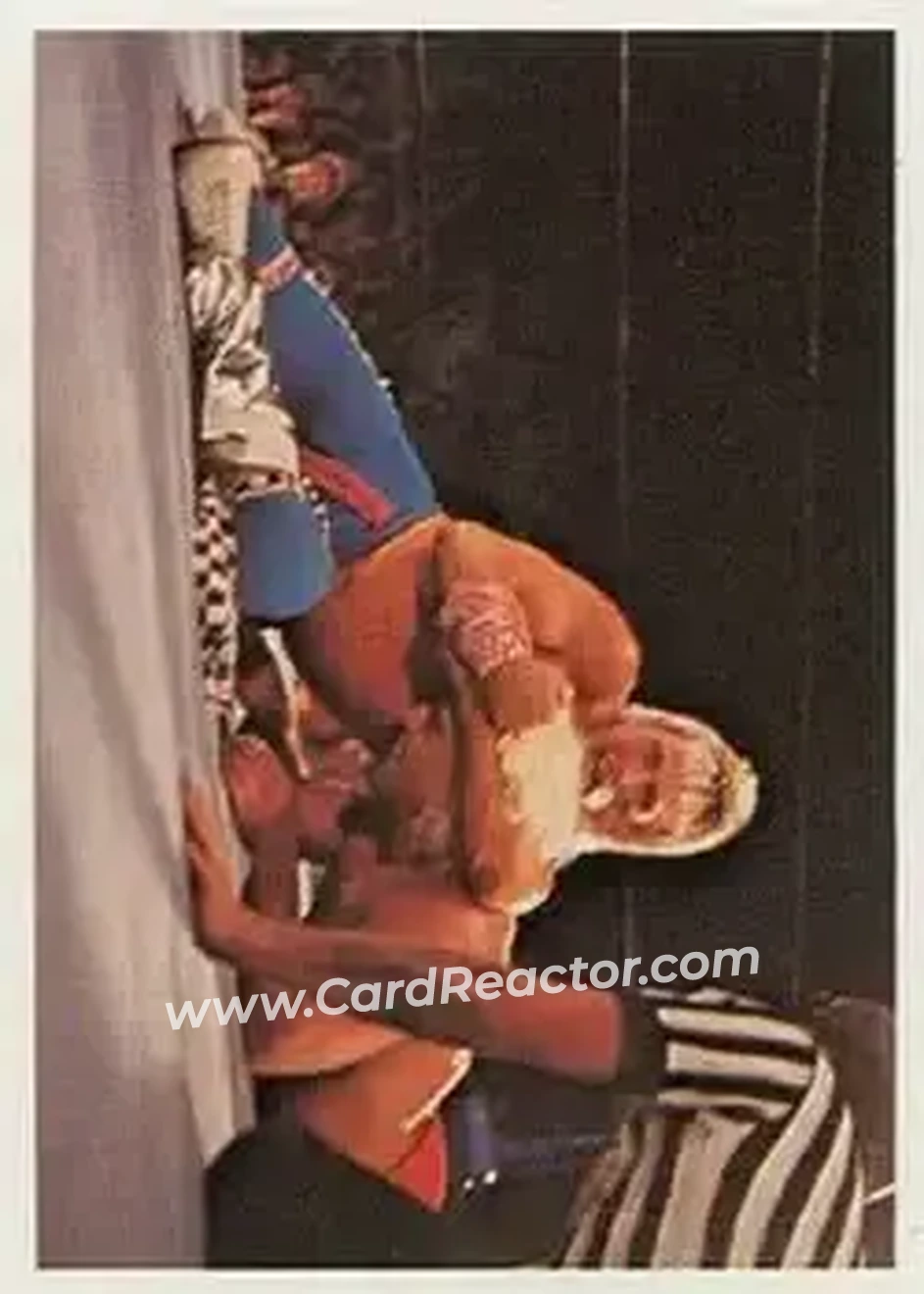 1988 Wonderama NWA #257 - Card #257 1988 Wonderama NWA #257 - Card #257