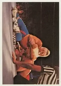 1988 Wonderama NWA #257 - Card #257