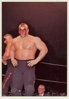 1988 Wonderama NWA #259 - Road Warrior Animal