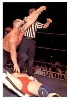 1988 Wonderama NWA #262 - Card #262