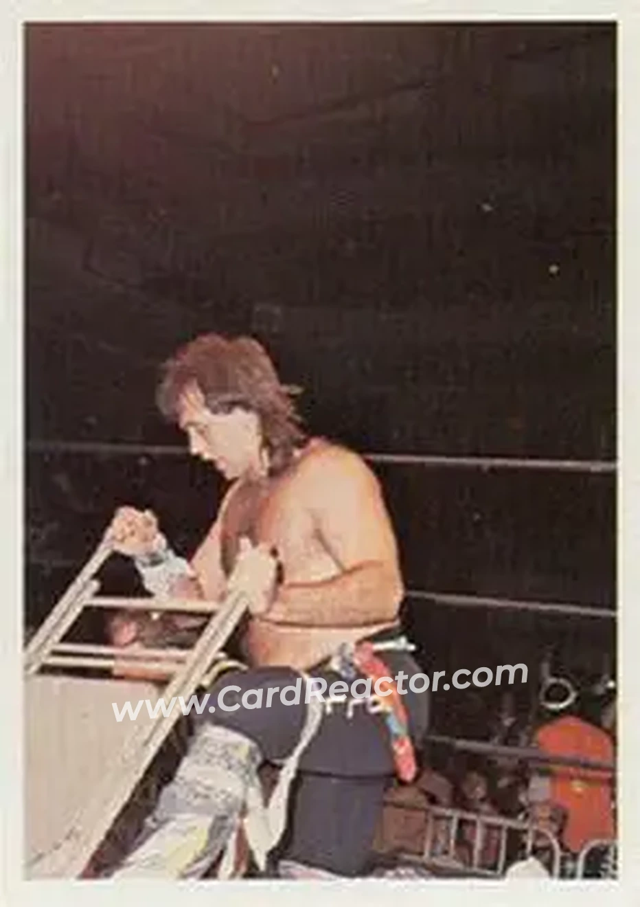 1988 Wonderama NWA #265 - Robert Gibson