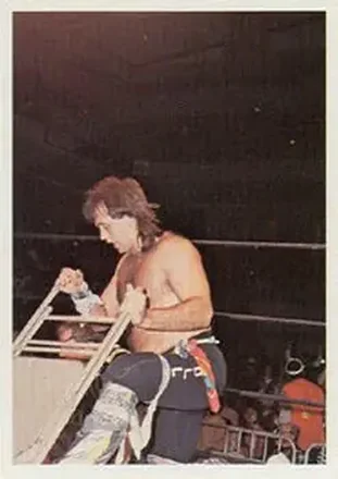 1988 Wonderama NWA #265 - Robert Gibson