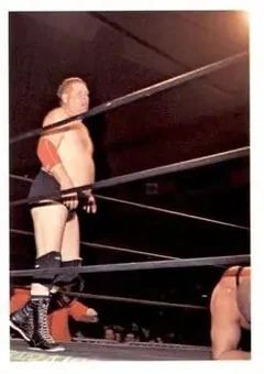 1988 Wonderama NWA #266 - Dick Murdoch