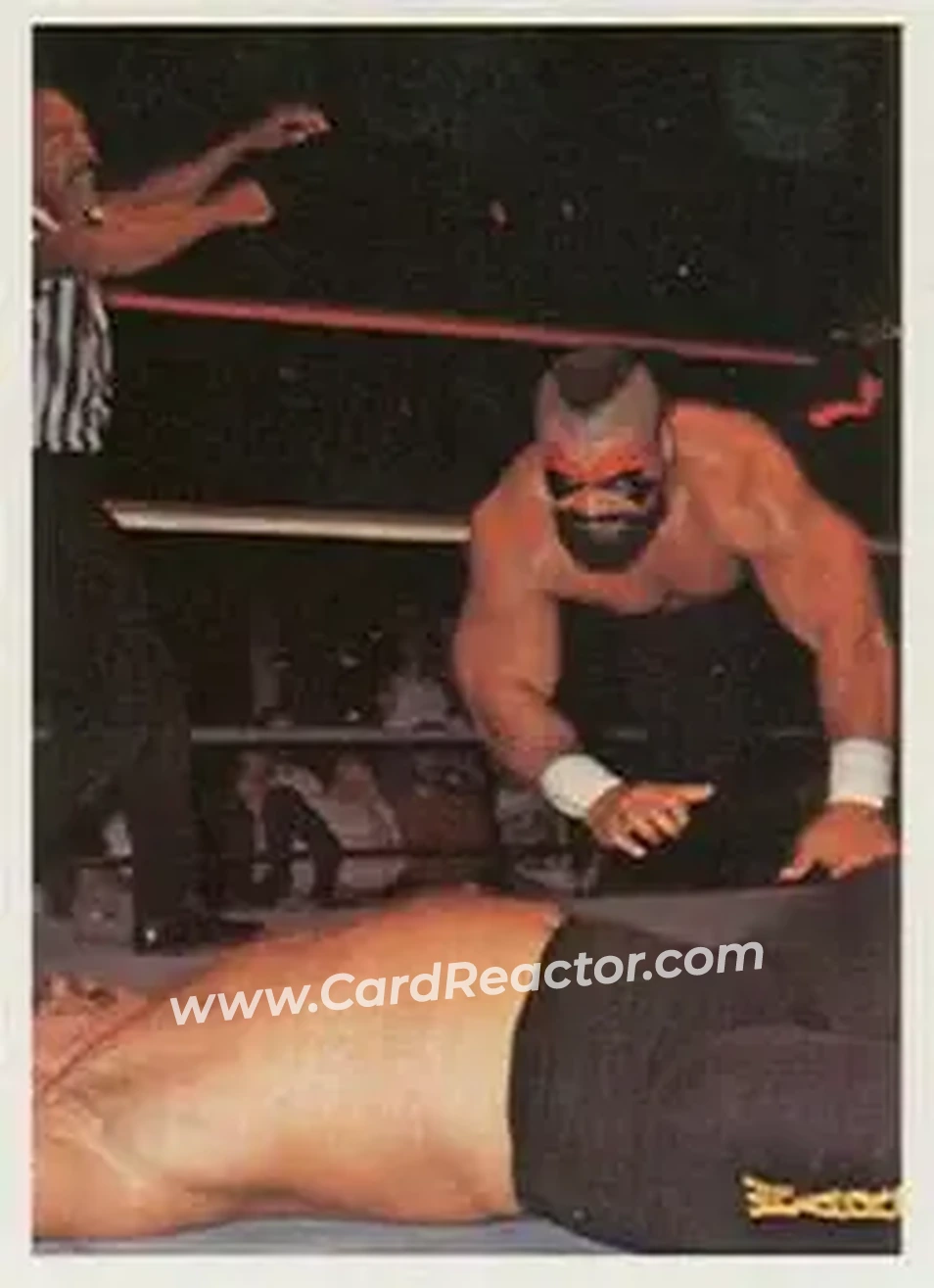 1988 Wonderama NWA #269 - Barbarian
