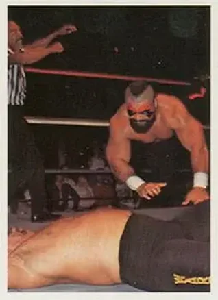 1988 Wonderama NWA #269 - Barbarian