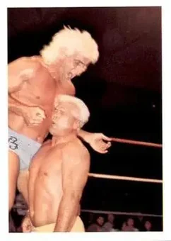 1988 Wonderama NWA #270 - Card #270