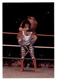 1988 Wonderama NWA #271 - Card #271