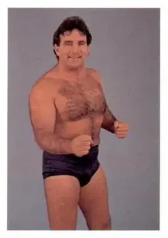 1988 Wonderama NWA #272 - Gene Ligon