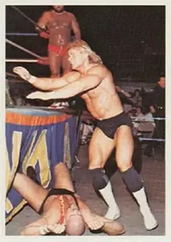 1988 Wonderama NWA #274 - Card #274
