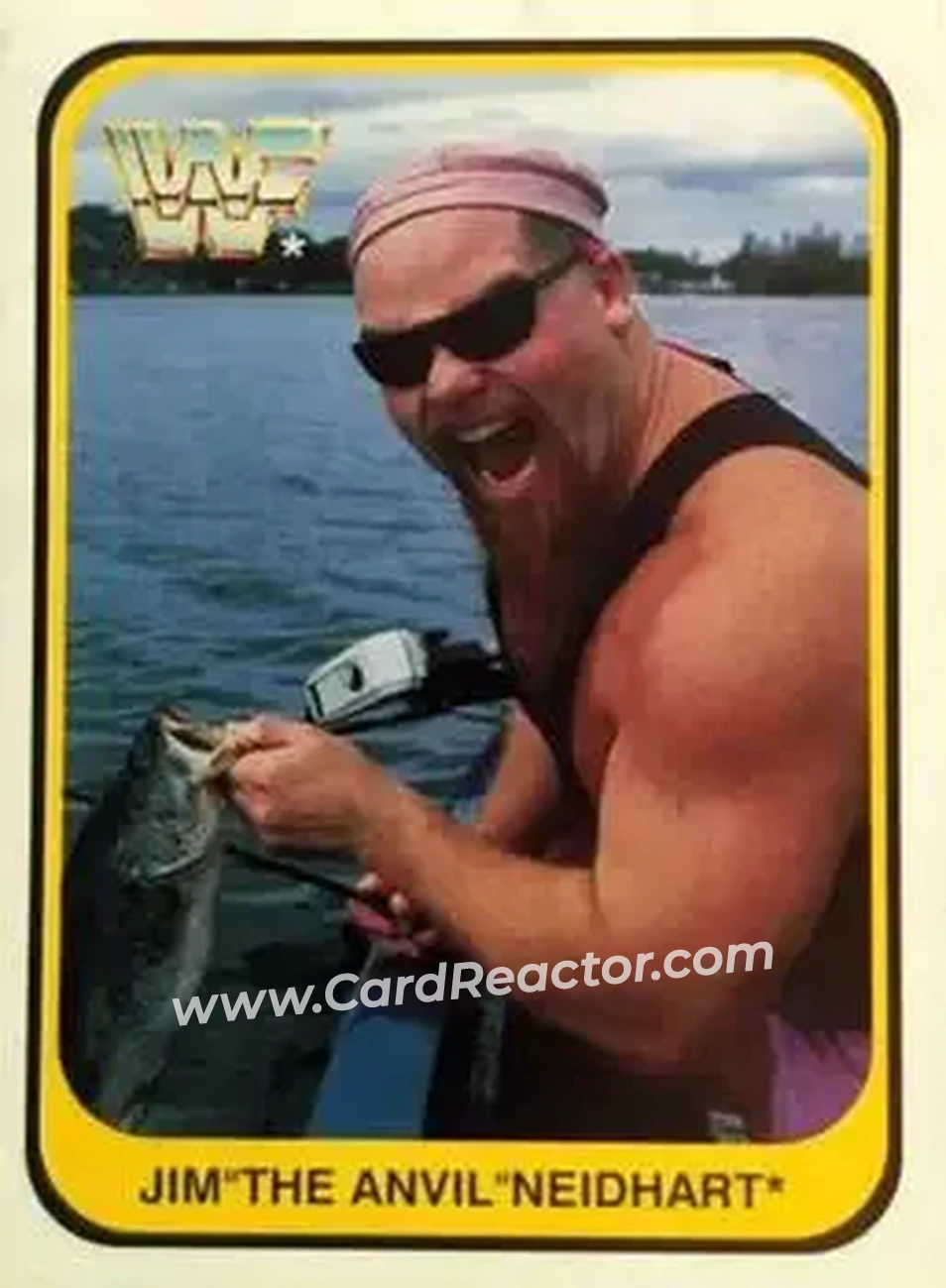 1991 Merlin WWF #84 - Jim "The Anvil" Neidhart
