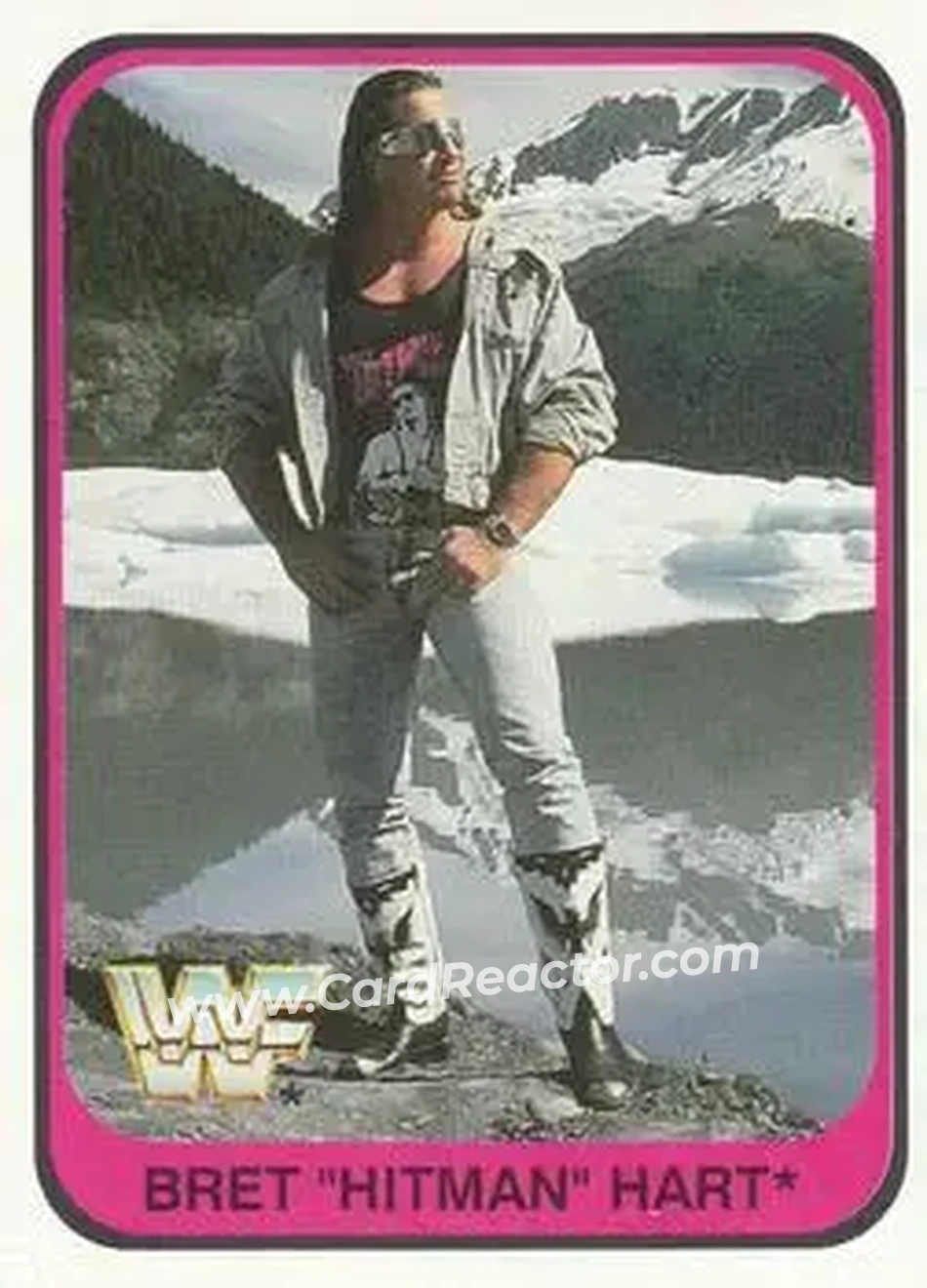 1991 Merlin WWF #88 - Bret "Hit Man" Hart