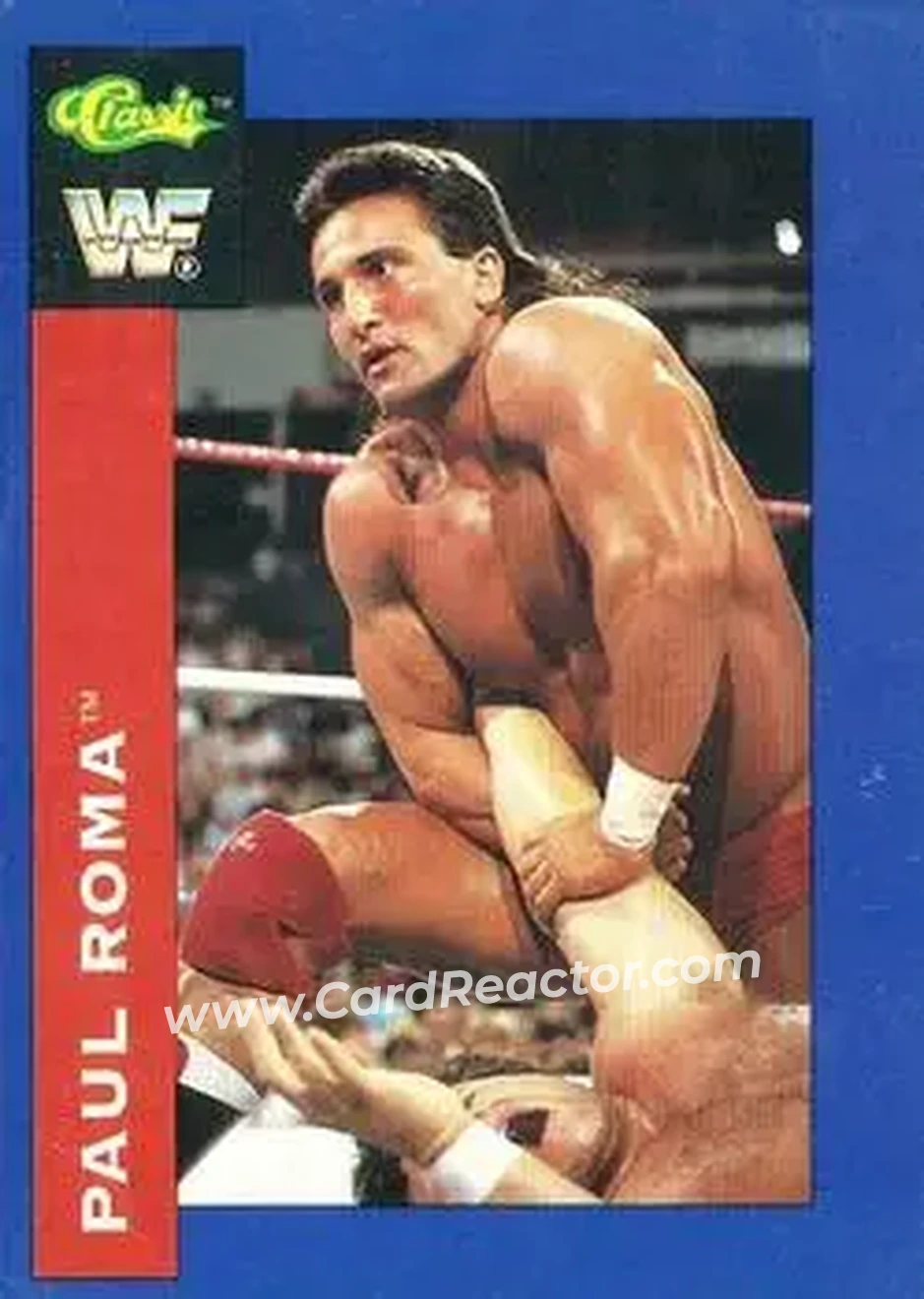 1991 Classic WWF Superstars #81 - Paul Roma