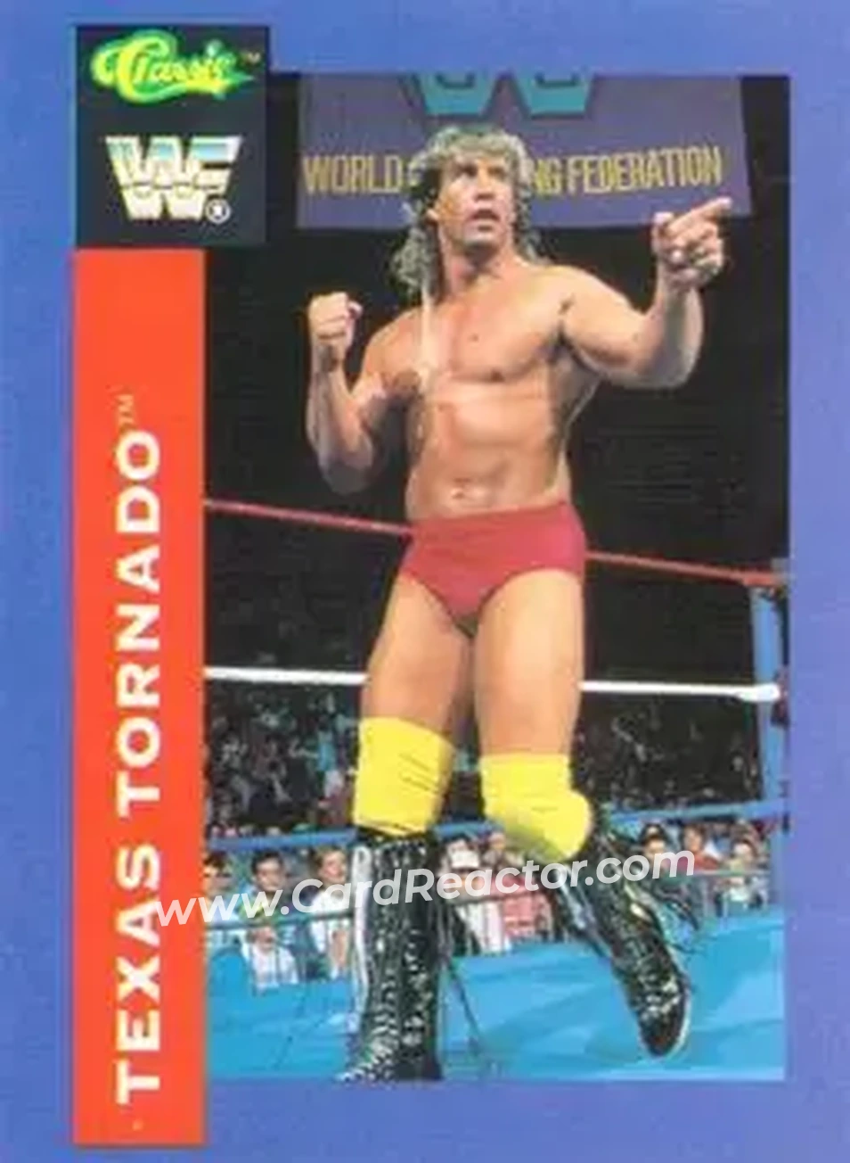 1991 Classic WWF Superstars #101 - Kerry Von Erich