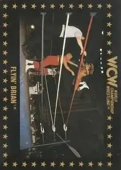 1991 Championship Marketing WCW #62 - Card #62