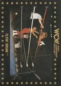 1991 Championship Marketing WCW #62 - Card #62