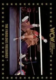 1991 Championship Marketing WCW #63 - Card #63
