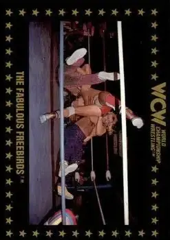 1991 Championship Marketing WCW #63 - Card #63 - Front 1991 Championship Marketing WCW #63 - Card #63 - Front
