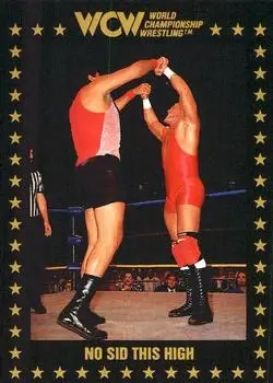 1991 Championship Marketing WCW #64 - Card #64 - Front 1991 Championship Marketing WCW #64 - Card #64 - Front
