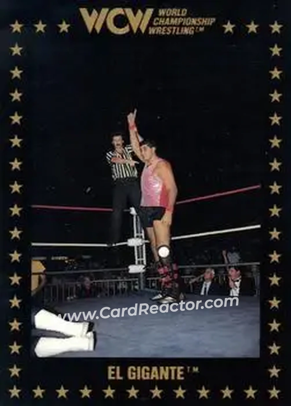 1991 Championship Marketing WCW #65 - El Gigante