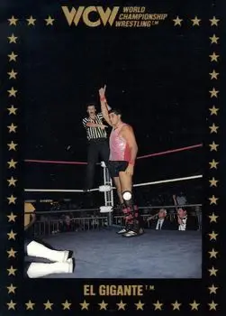 1991 Championship Marketing WCW #65 - El Gigante - Front