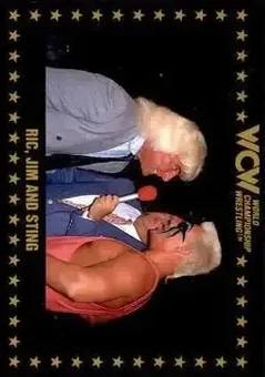 1991 Championship Marketing WCW #66 - Card #66