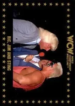 1991 Championship Marketing WCW #66 - Card #66 - Front