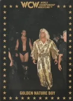 1991 Championship Marketing WCW #68 - Card #68