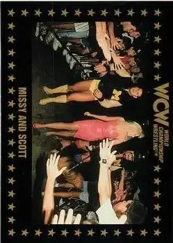 1991 Championship Marketing WCW #69 - Card #69 - Front
