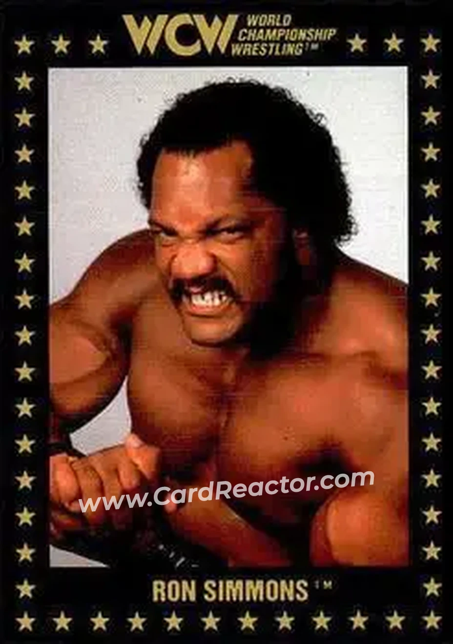1991 Championship Marketing WCW #70 - Ron Simmons