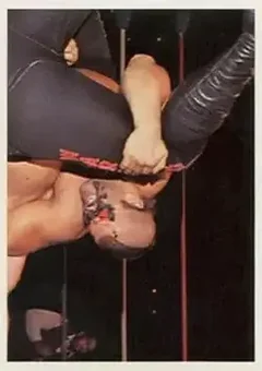 1988 Wonderama NWA #281 - Road Warrior Animal