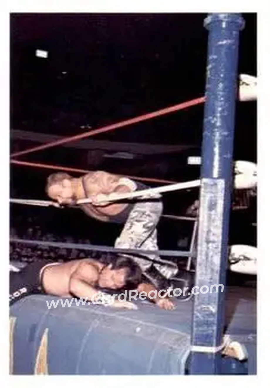 1988 Wonderama NWA #282 - Luke Williams