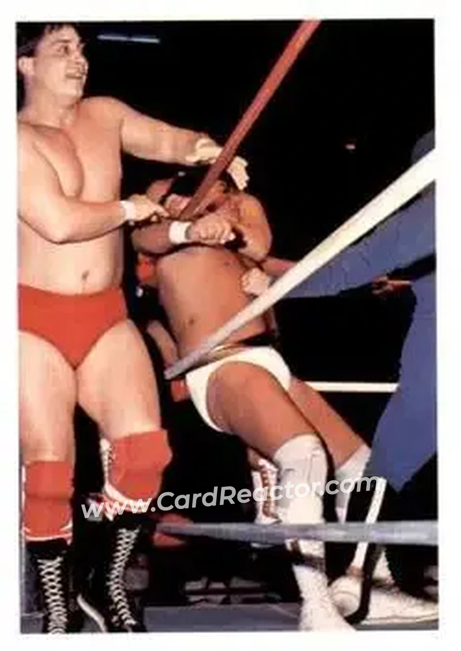1988 Wonderama NWA #285 - Denny Brown 1988 Wonderama NWA #285 - Denny Brown