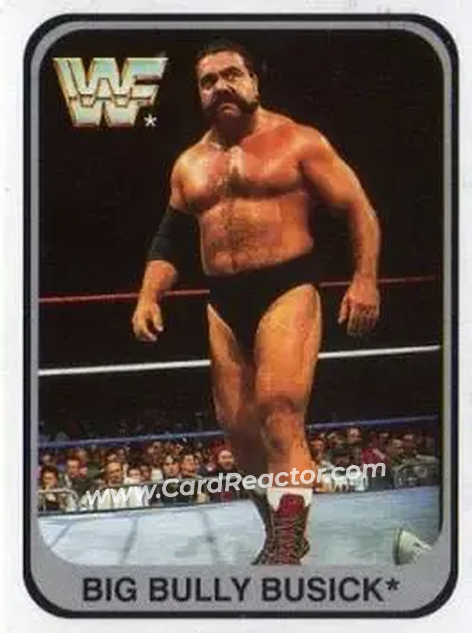 1991 Merlin WWF (German) #107 - Big Bully Busick