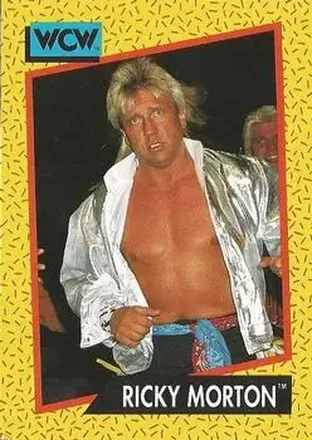 1991 Impel WCW #97 - Ricky Morton
