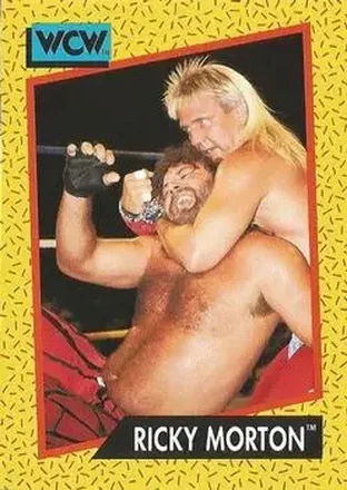 1991 Impel WCW #98 - Ricky Morton