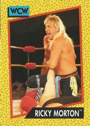 1991 Impel WCW #99 - Ricky Morton