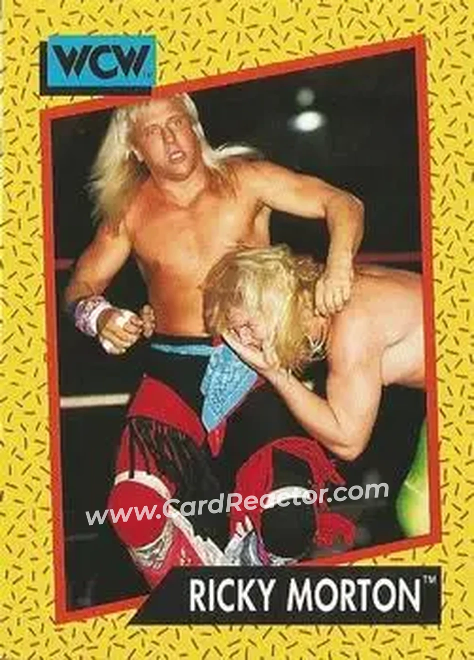 1991 Impel WCW #100 - Ricky Morton