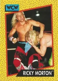 1991 Impel WCW #100 - Ricky Morton 1991 Impel WCW #100 - Ricky Morton