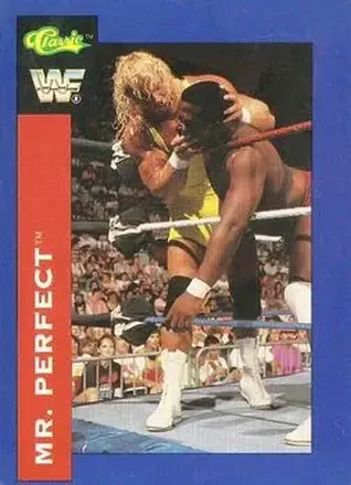 1991 Classic WWF Superstars #107 - Mr. Perfect