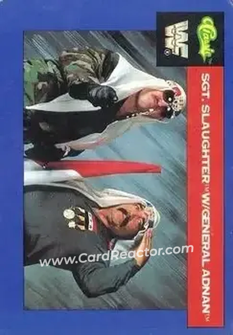 1991 Classic WWF Superstars #108 - Card #108