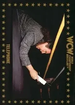 1991 Championship Marketing WCW #71 - Card #71