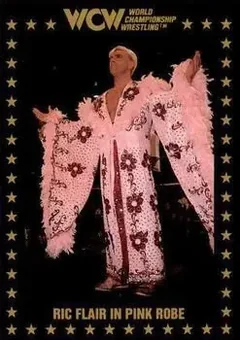 1991 Championship Marketing WCW #73 - Card #73