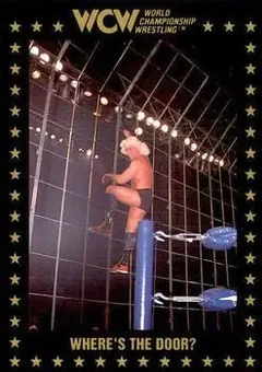 1991 Championship Marketing WCW #77 - Card #77