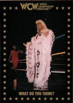 1991 Championship Marketing WCW #79 - Card #79