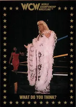 1991 Championship Marketing WCW #79 - Card #79 - Front